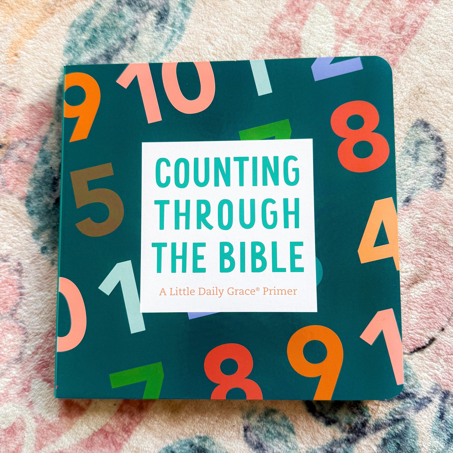 Counting Through the Bible Board Book