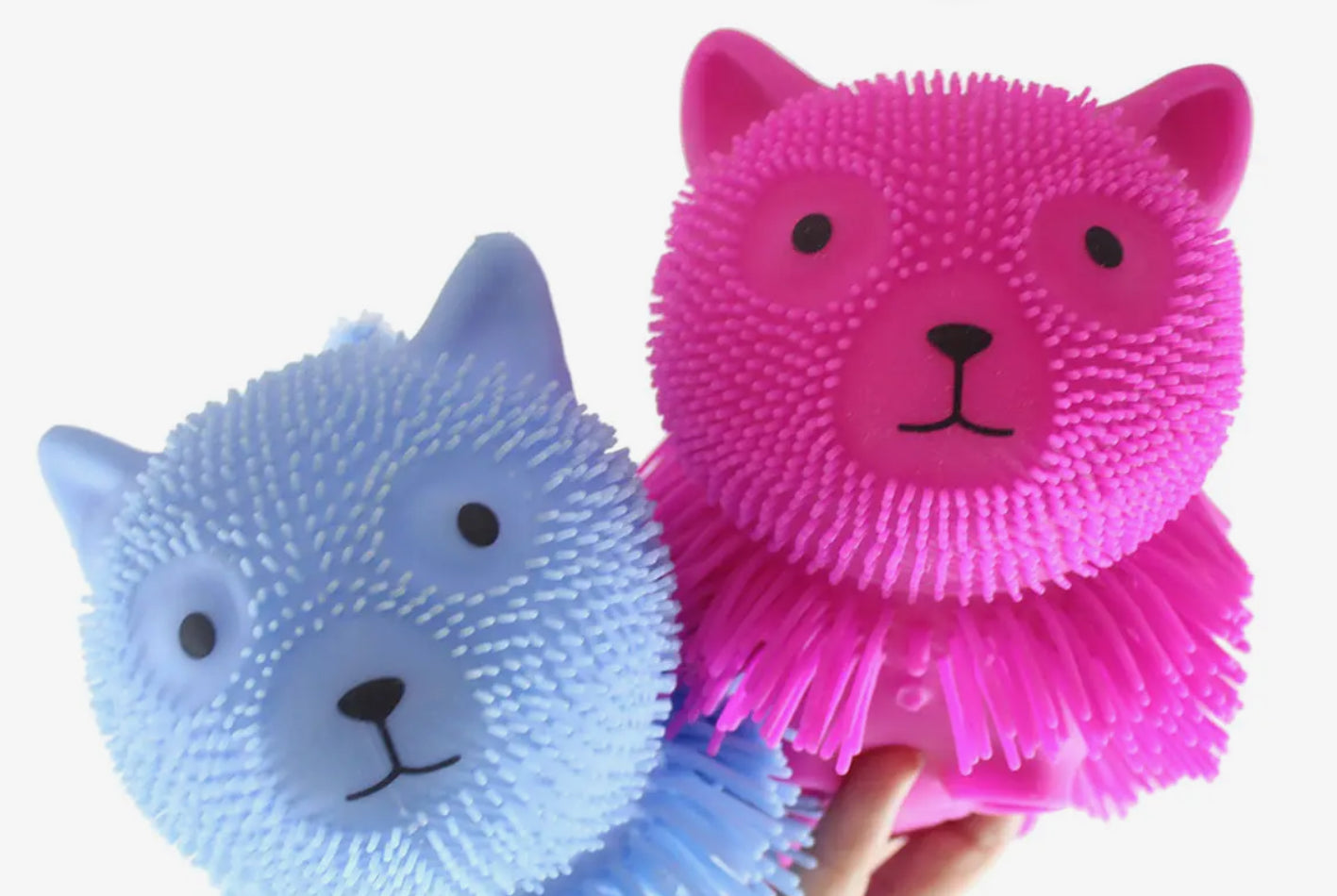 Shaggy Cat Squishy